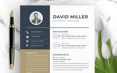 David Miller / Modèle de CV