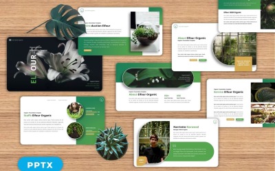 Elfour – Organikus Googleslide
