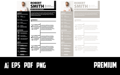 Web Designer Resume Template - Iconset Included
