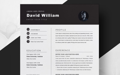 David William / Resume CV
