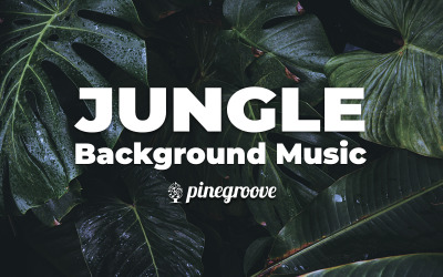 Dobrodružství divoké džungle - skladová hudba