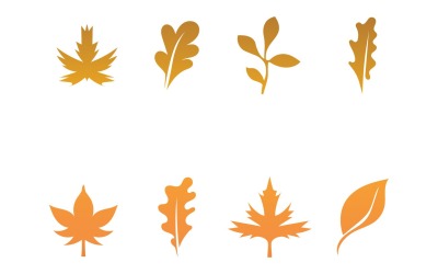 Maple Leaf Vector Illustration Design Template 2