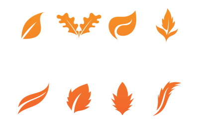 Maple Leaf Vector Illustration Design Template