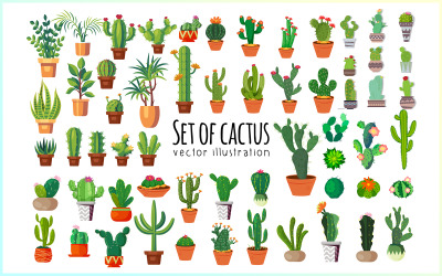 Ensemble d&amp;#39;illustrations de cactus gratuit