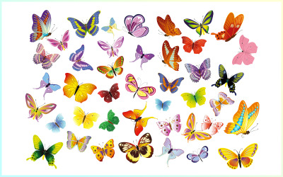 Kolekcja motyli, wektory motyli zestaw za darmo