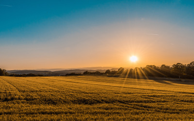 Východ slunce - relaxační meditační zvuková scéna