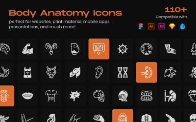 Körper-Anatomie-Linie-Icons-Pack