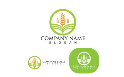 Landbouw tarwe Logo sjabloon Vector Icon Design 2