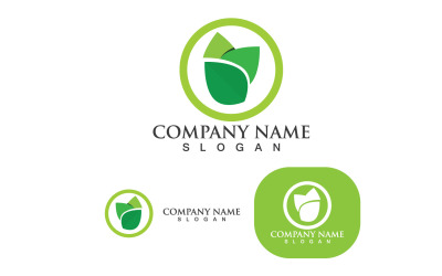 Logotipos De Hoja De Vector Verde