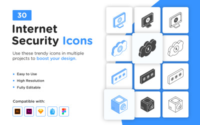 30 iconos de seguridad cibernética e Internet