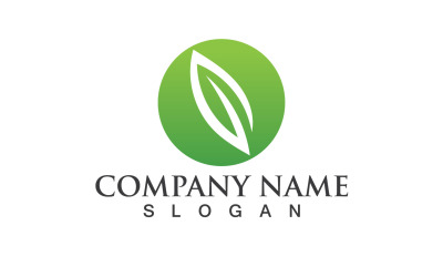 Foglia verde Natura Eco logo Vector V20