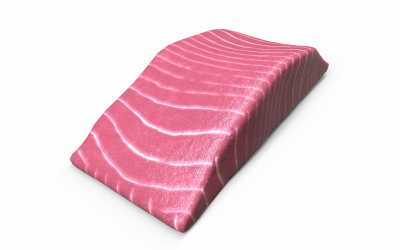 Modelo 3D Low-Poly de Carne de Peixe