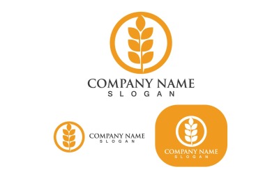 Buğday Logo Tarım Vektör Simge Tasarım V4