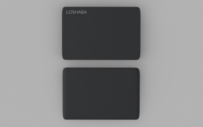 便携式存储低聚 3D 模型