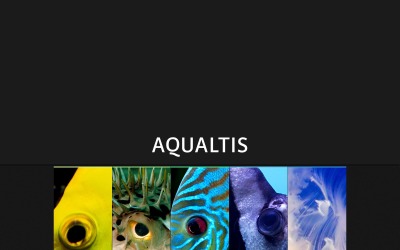 Modèle de site Web de poisson gratuit