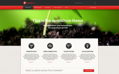 Ücretsiz Çiftlik Duyarlı Web Sitesi Tasarımı