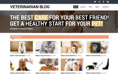 Bezplatná šablona webových stránek reagující na veterinární lékaře