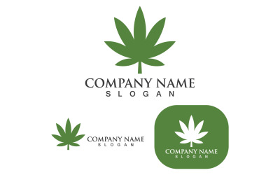 Canabis Leaf Vector Illustration Logo design V6