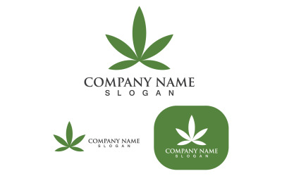 Création de logo d&amp;#39;illustration vectorielle de feuille de cannabis V4
