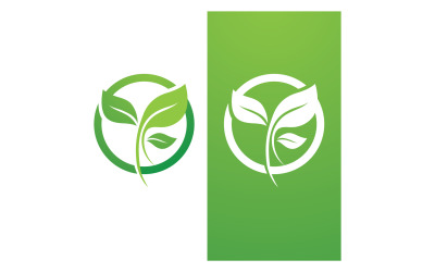 Plantilla de logotipo vectorial de naturaleza de hoja verde V11