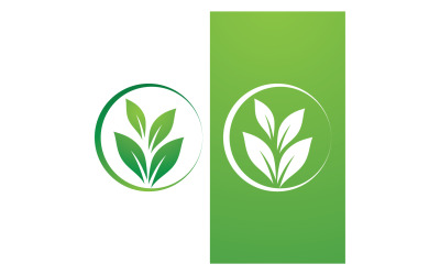 Plantilla de logotipo vectorial de naturaleza de hoja verde V12