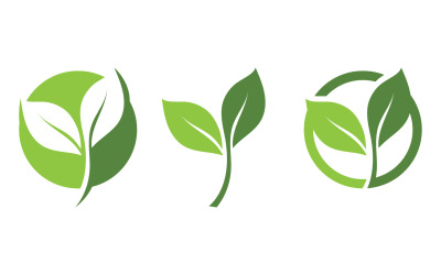 Plantilla de logotipo vectorial de naturaleza de hoja verde V17