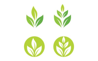 Foglia Eco Verde Natura Logo Vector V19