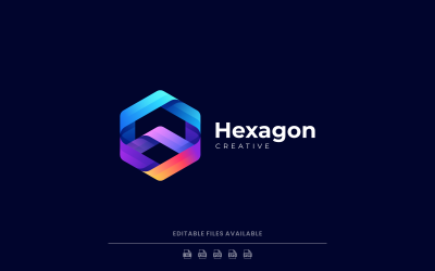 Hexagon Line Colorful Logo