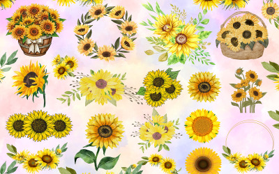 Slunečnice kolekce, slunečnice ilustrace sada