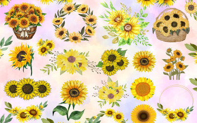 Sonnenblumen-Sammlung, Sonnenblumen-Illustrationsset