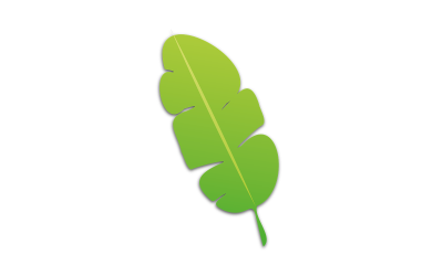 Palmblad Illustratie Vector