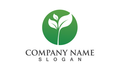 Lövgrön Natur Logo Symbol Vector V35
