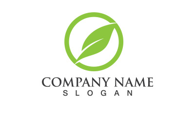 Verde Eco Foglia Albero Natura Logo Vector Design V10