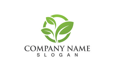 Ecología hoja verde naturaleza logotipo y símbolo V14