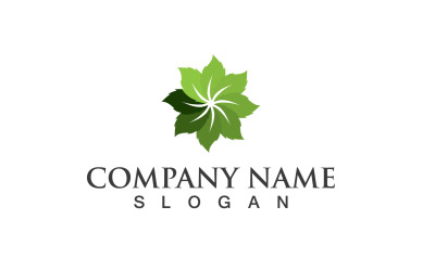 Ecología hoja verde naturaleza logotipo y símbolo V31