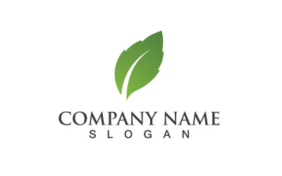 Ecology Green Leaf Nature Logo And Symbol V10