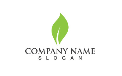 Ecology Green Leaf Nature Logo And Symbol V16