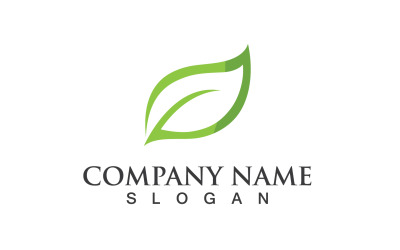 Ecology Green Leaf Nature Logo And Symbol V1