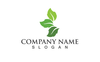 Ecology Green Leaf Nature Logo And Symbol V23