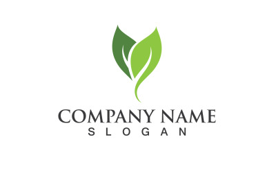 Ecology Green Leaf Nature Logo And Symbol V24