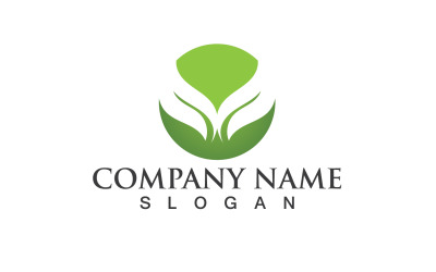 Ecology Green Leaf Nature Logo And Symbol V32