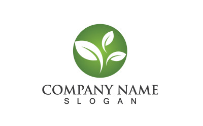 Ecology Green Leaf Nature Logo And Symbol V37