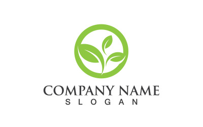 Ecology Green Leaf Nature Logo And Symbol V38