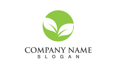 Ecology Green Leaf Nature Logo And Symbol V44