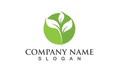 Ecology Green Leaf Nature Logo And Symbol V47
