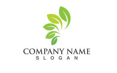 Ecology Green Leaf Nature Logo And Symbol V4