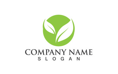 Ecology Green Leaf Nature Logo And Symbol V53