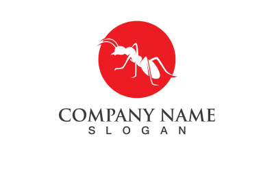 Vector de símbolo y logotipo rojo hormiga V13