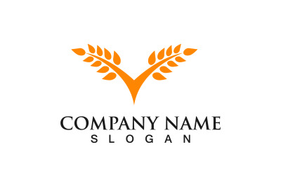 Wheat Rice Food Health Logo Vector Design V9