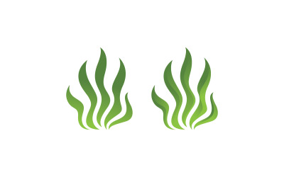 Seaweed Vector Logo Design Template V3